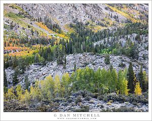 Early Fall Color, Rocky Basin