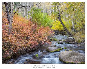 Eastern Sierra Stream, Autumn