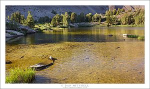 Late Afternoon Shadows, Subalpine Lake