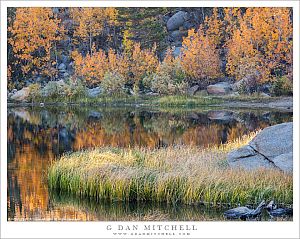 Lake Shore, Autumn Morning