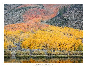 Yellow and Orange