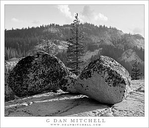 BouldersDomeTreesGlenAulinBW20110916