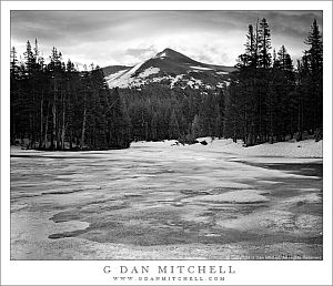 GibbMornFrozenPondBW20110619