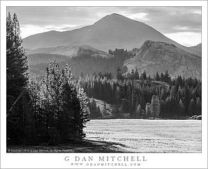 Morning, Tuolumne Meadows, Mount Dana