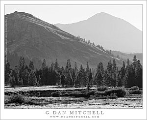 TuolumneLembertDanaBW20120913