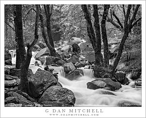 BridalVeilCreekSpringBW20080516