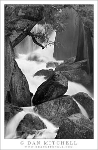 CascadeCreekMistTreesBouldersBW20110618