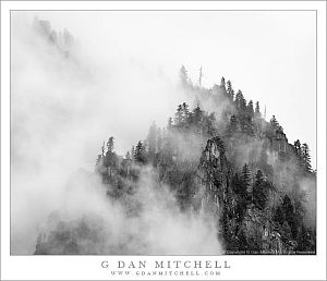 CliffFogTreesCurveRidge20101030