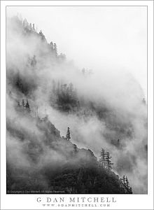FogMistBelowGlacierPointBW20101030