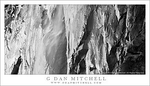 HorseTailAfternoonBreezeBW20140301