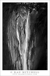 HorsetailSouthsideBW20100215
