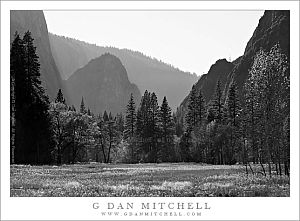LeidigMeadowAfternoonBW20091031