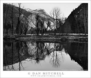 NorthDomeMercedTreesBW20100215
