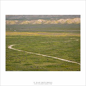 Gravel Road, Carrizo Plain