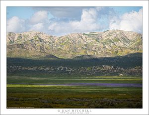 Shadows on the Plain