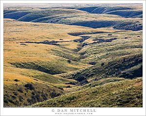 Hills, Edge of the Carrizo Plain