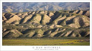 Morning, Temblor Range