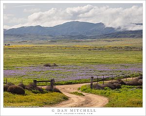 Road And Fence, Carrizo Plain