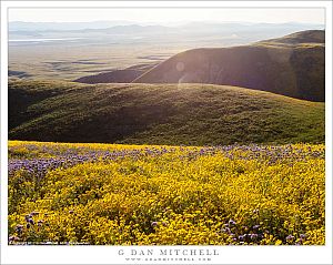 Springtime Hills