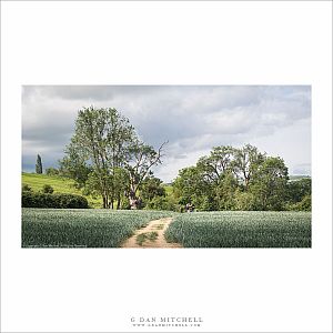 A Cotswolds Trail