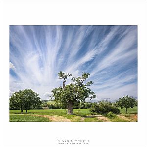 Cotswolds Sky