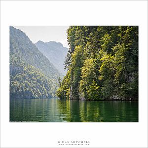 Forested Cliffs, Königsee