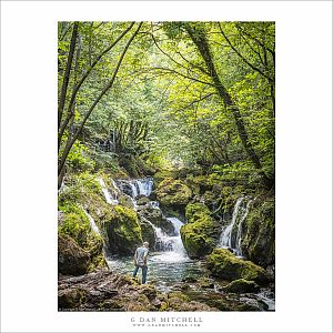 Forest, Whie Drin River