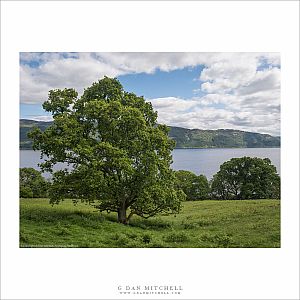 The Shores of Loch Ness