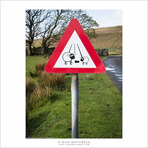 So That Sheep May Safely Graze