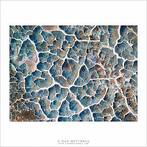 Imaginary Landscape — Fractal Veins