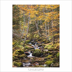 Autumn Creek