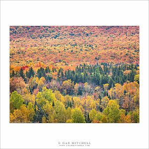 Peak New England Color