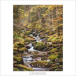 White Mountains Creek, Autumn