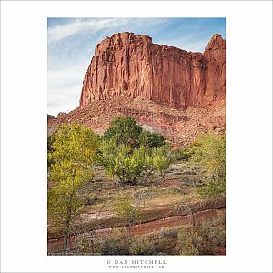 Autumn Foliage and Red Rock Cliffs