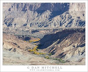 Canyon with Cottonwood Trees