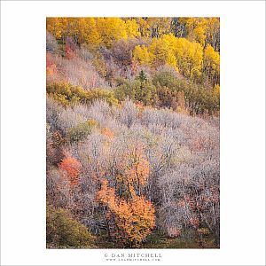 Autumn HIllside