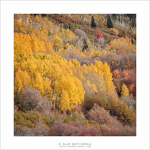 Autumn Hillside