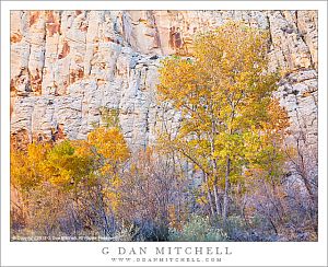 AutumnColorEscalanteRiver20121029