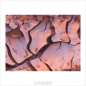 Cracked Mud, Canyon Light