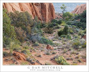 Canyon Country Gulch, Evening