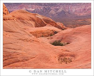 Redrock Valley and Potholes, Evening