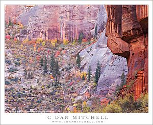 AutumnColorCanyonWallsZion20121030