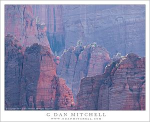 Cliffs, Trees, and Morning Light