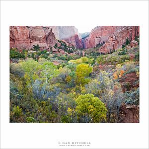 Kolob Canyon, Morning