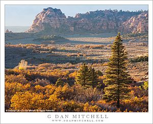 Highlands, Autumnn Light