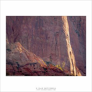 Red Cliffs and Trees