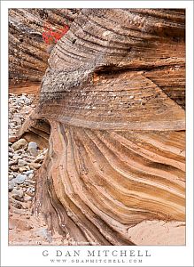 RedLeavesLayeredSandstone20121022