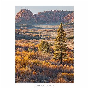 Zion High Country, Evening