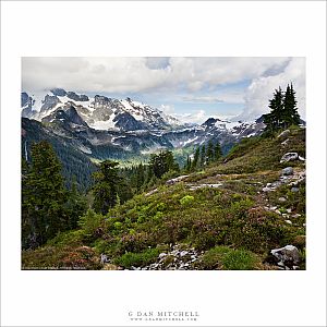 Artist Point Meadow, Mount Shuksan